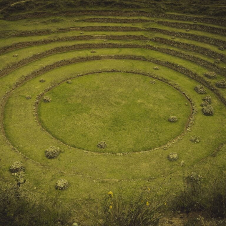 Imaage of field with rings